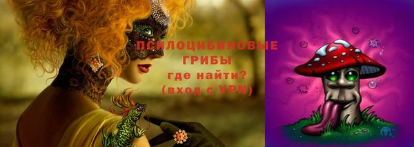 эйфоретик Пролетарск