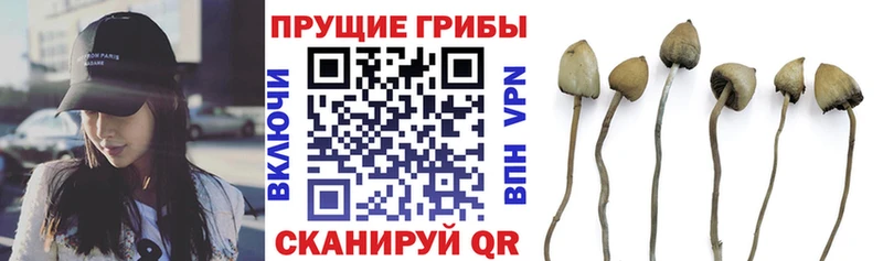 Галлюциногенные грибы мицелий  MEGA ссылки  Моздок 